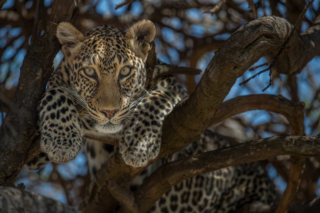 Africa Photography Tours