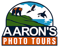 Wildlife Photo Tours