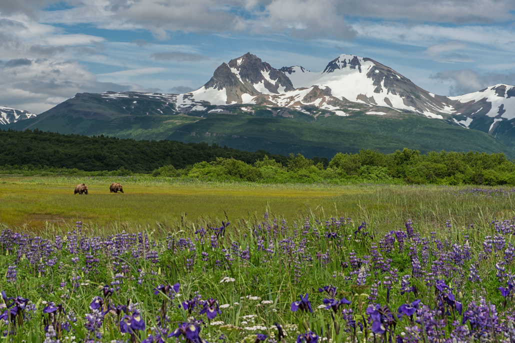Alaska Photography Tours