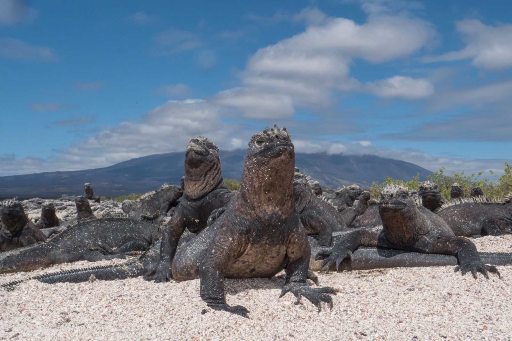 Galapagos photography tours
