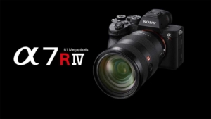 Sony a7RIV Review for Bird and Wildlife Photography