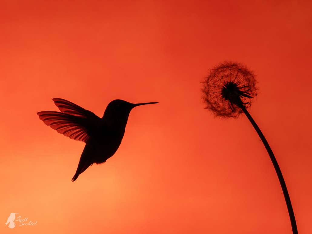 O5020357-Edit_20240531